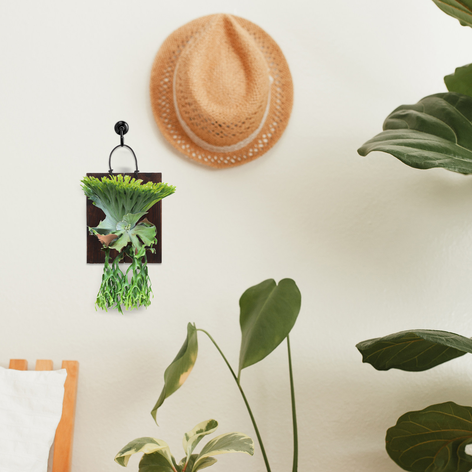 Home Office With Plants - Деревянная монтажная панель для папоротника Стагхорн,