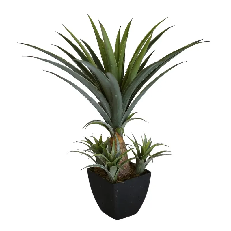 Искусственное растение агава н – обзор и цена Home Office With Plants