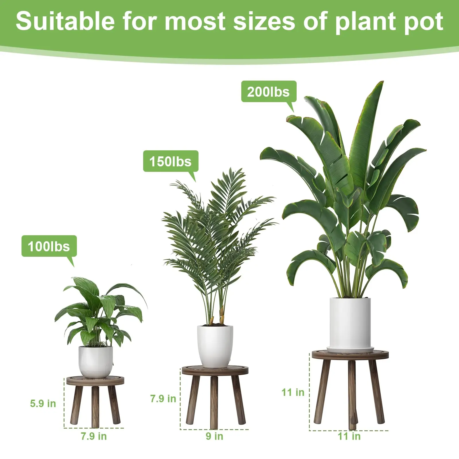 Набор из 3 деревянных подставо – обзор и цена Home Office With Plants