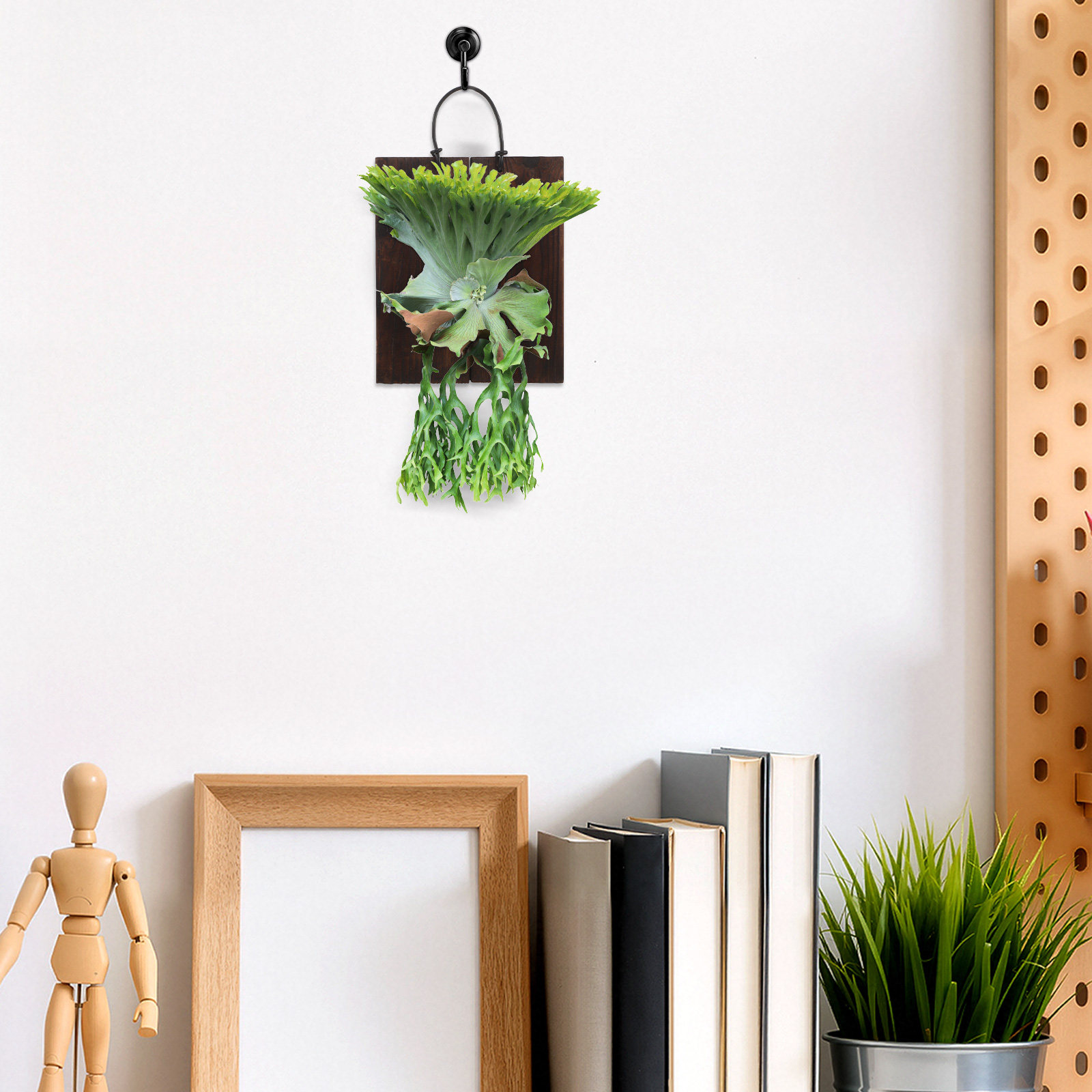 Деревянная монтажная панель дл – обзор и цена Home Office With Plants